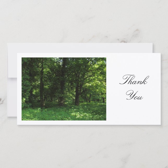 Spring in the Woods 02 - Thank You Card (Front)