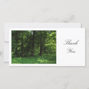 Spring in the Woods 02 - Thank You Card