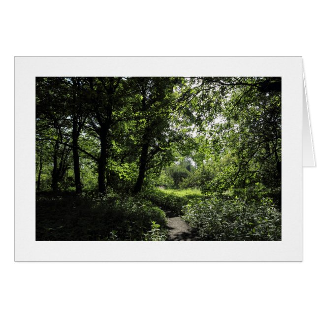 Spring in the Woods 03  (bordered) (Front Horizontal)