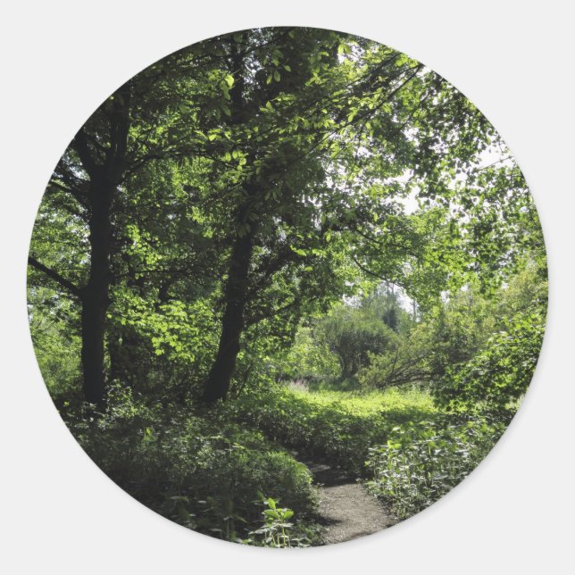 Spring in the Woods 03 Classic Round Sticker (Front)