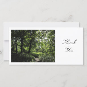 Spring in the Woods 03 - Thank You Card