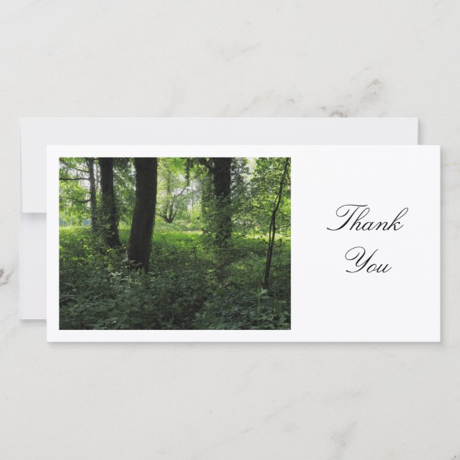 Spring in the Woods 04 - Thank You Card (Front)