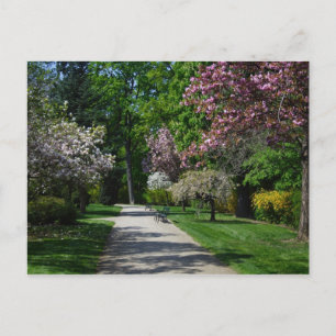 Spring In Vienna Austria Postcard