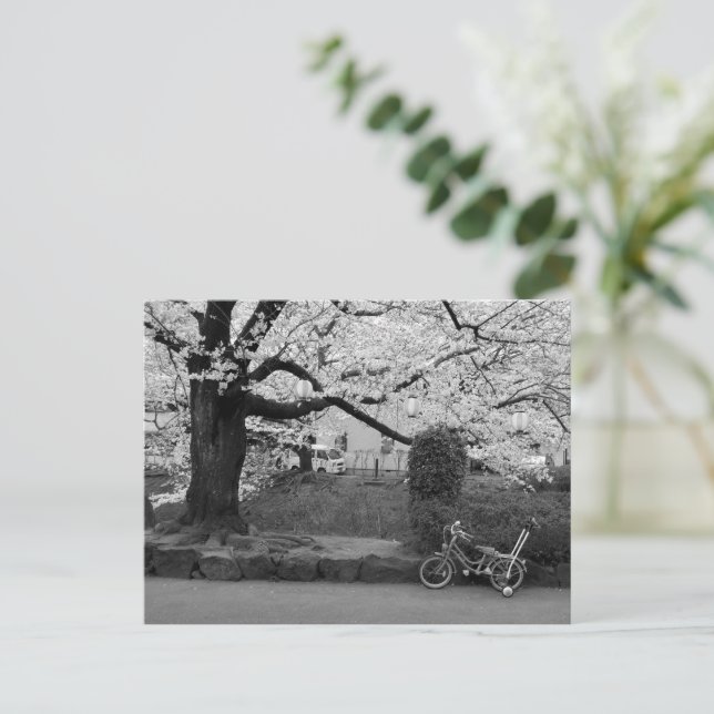 Spring in West Tokyo Postcard (Standing Front)