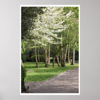 Spring Ireland Poster