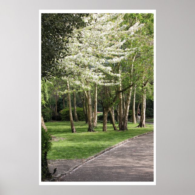 Spring Ireland Poster (Front)