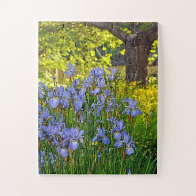 Spring iris flower garden jigsaw puzzle (Vertical)