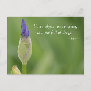 spring iris postcard