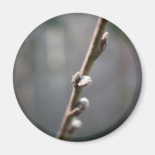 Spring is Coming Magnet (Front)