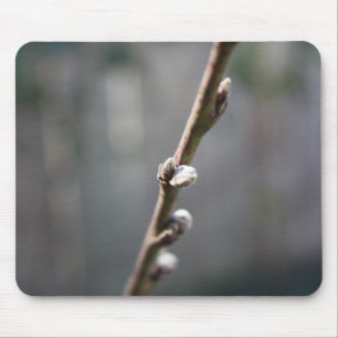 Spring is Coming Mouse Pad