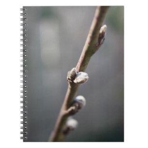 Spring is Coming Notebook