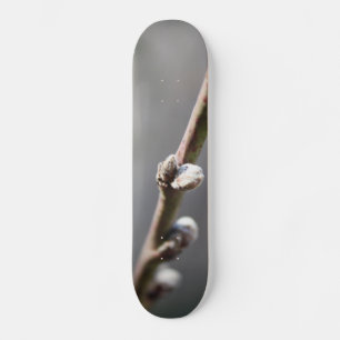 Spring is Coming Skateboard