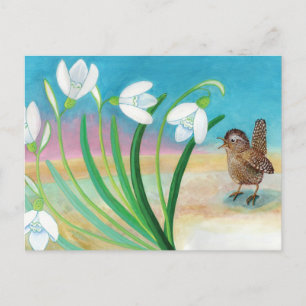 Spring is coming - Wren bird & snowdrops Postcard