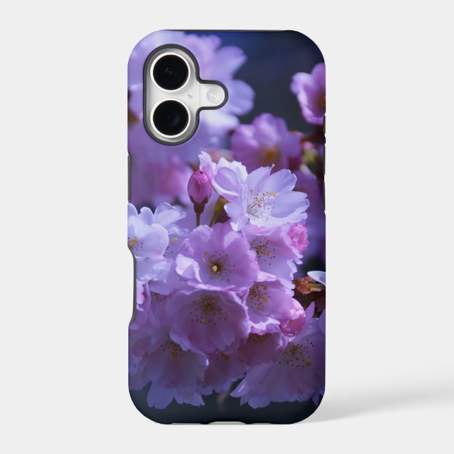 Spring is Here! (Back)