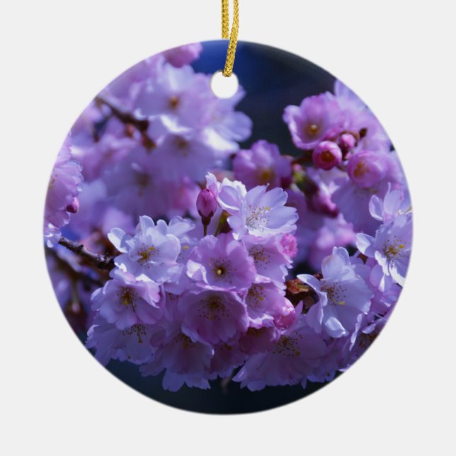 Spring is Here! Ceramic Tree Decoration (Front)