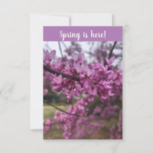 Spring is here! greeting card