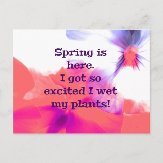 Spring is here.  I got so excited I wet my plants! Postcard (Front)