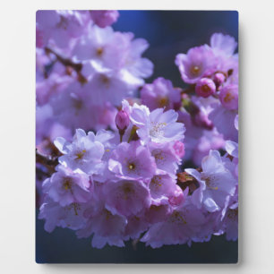 Spring is Here! Plaque