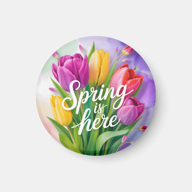 "Spring is Here" Tulip Bouquet Illustration Magnet (Front)