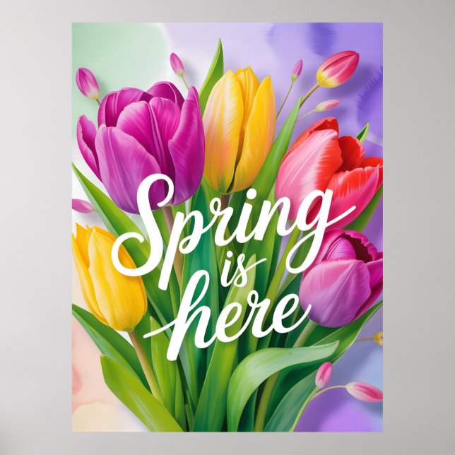 "Spring is Here" Tulip Bouquet Illustration Poster (Front)