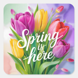 "Spring is Here" Tulip Bouquet Illustration Square Sticker