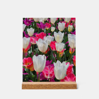 Spring is in Bloom Acrylic Sign