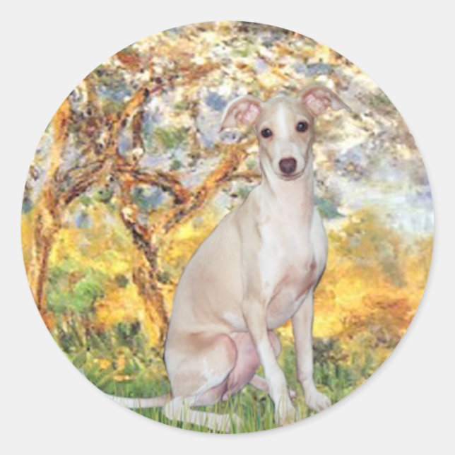 Spring - Italian Greyhound 5 Classic Round Sticker (Front)