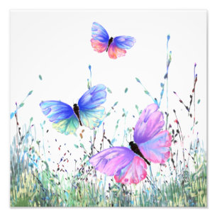Spring Joy - Colourful Butterflies Flying in Natur Photo Print