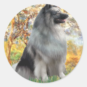 Spring - Keeshond Classic Round Sticker