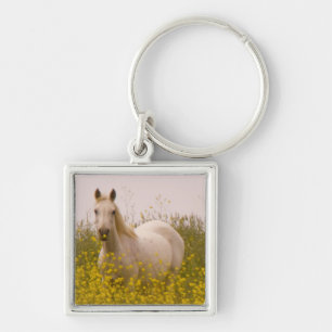 Spring Key Ring