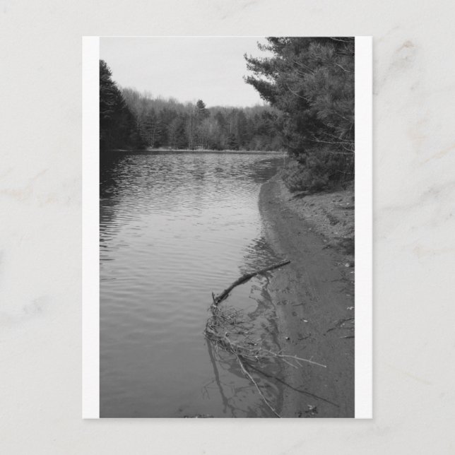 Spring Lake Postcard (Front)