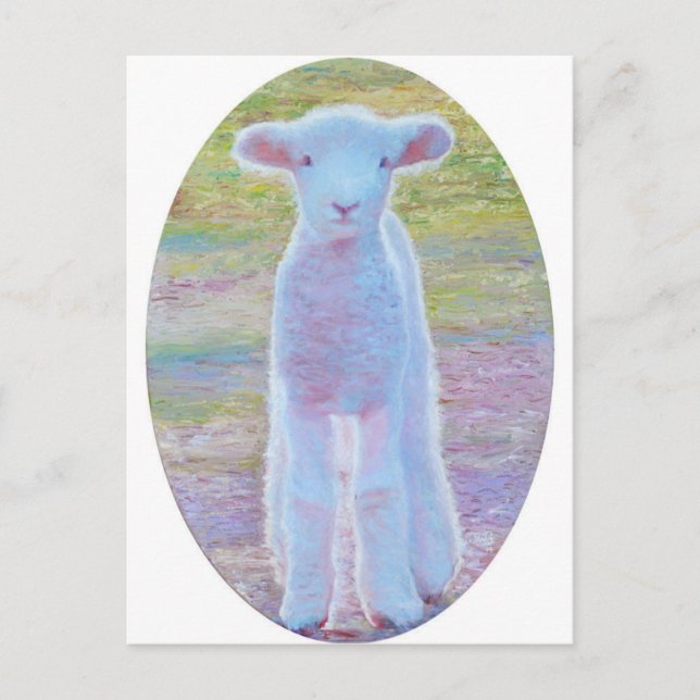 Spring lamb postcard (Front)