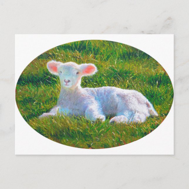 Spring lamb postcard (Front)