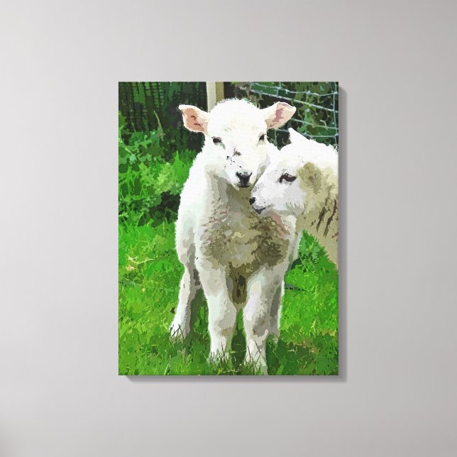 SPRING LAMBS CANVAS PRINT (Front)