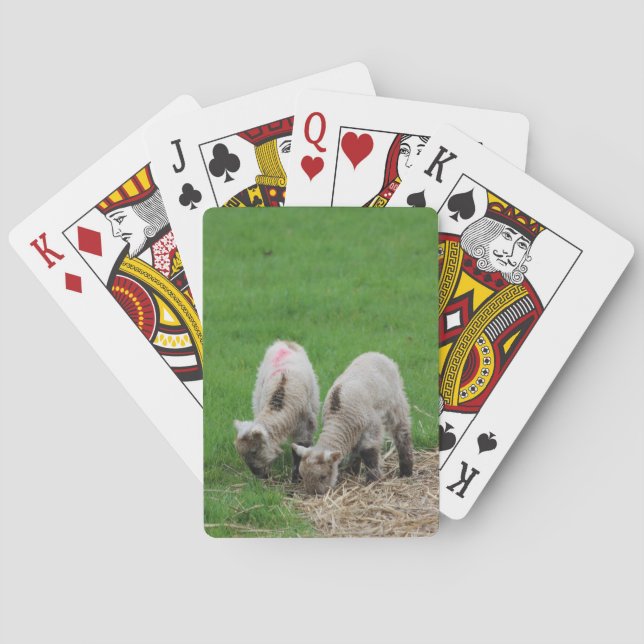 Spring Lambs Playing Cards (Back)