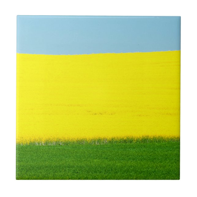 Spring Landscape Meadow Ceramic Tile (Front)