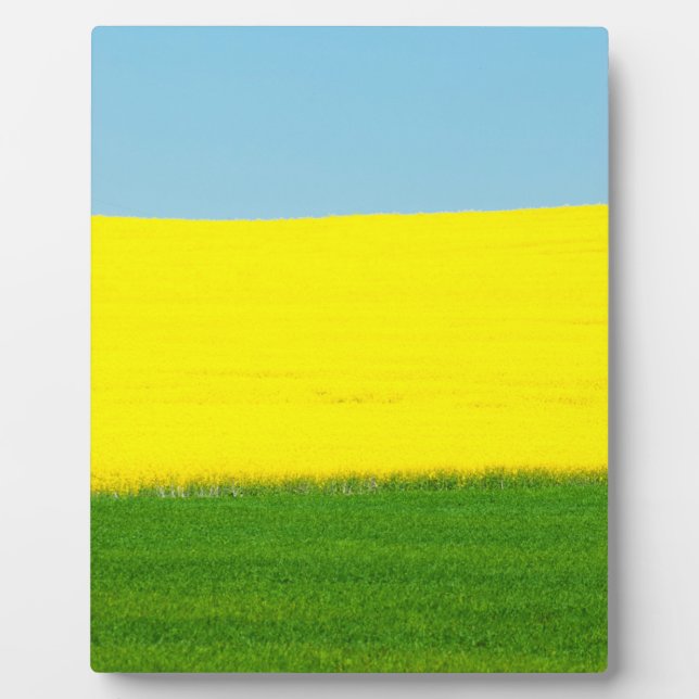 Spring Landscape Meadow Plaque (Front)