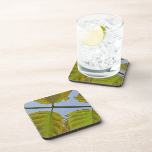 Spring Leaf Coasters