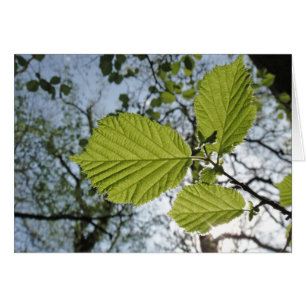 Spring leaves card