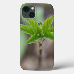 Spring Leaves iPhone 13 Case