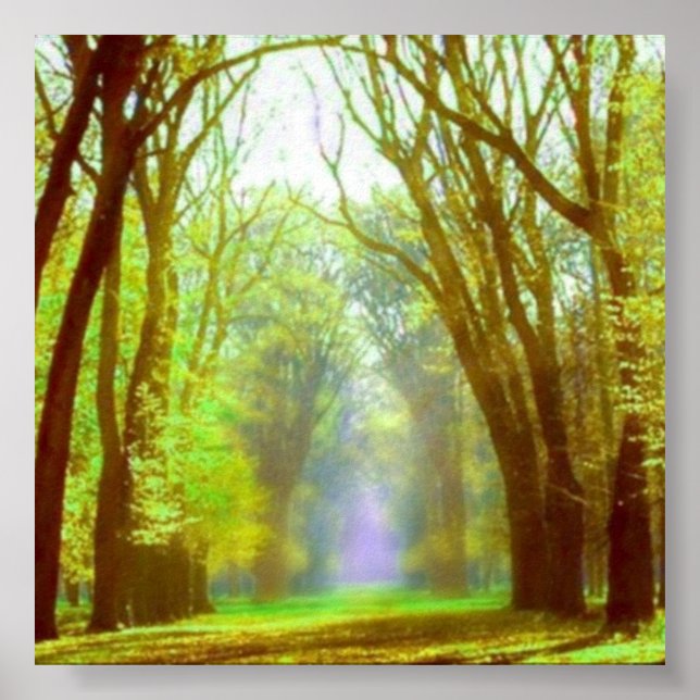 Spring Light Poster (Front)