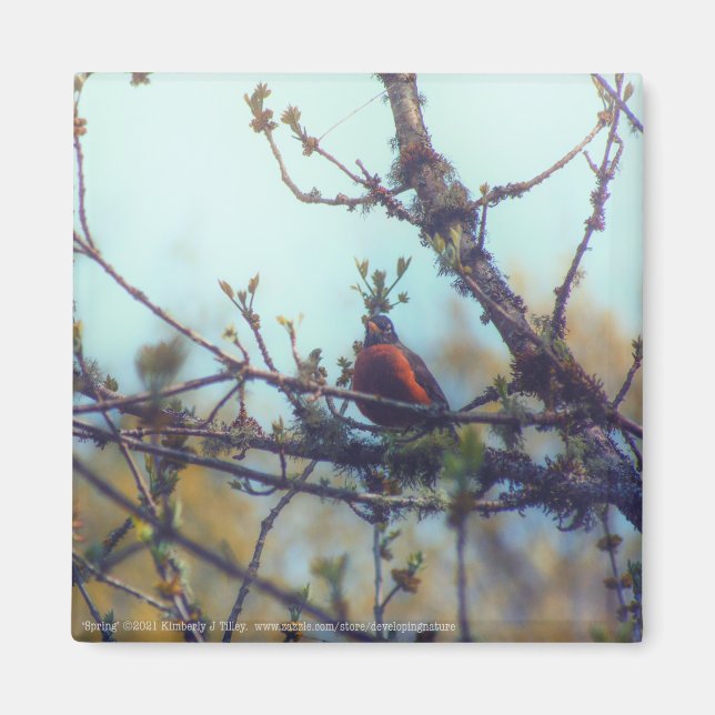 Spring Magnet (Front)