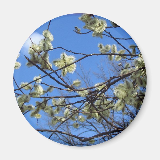 Spring Magnet (Front)