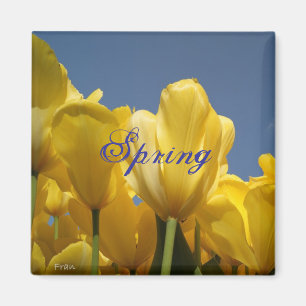 spring magnet