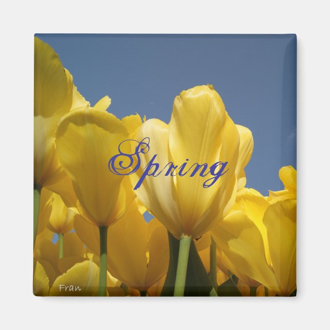 spring magnet (Front)
