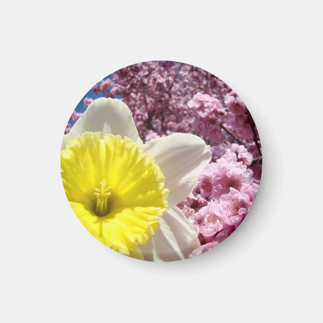 Spring magnets Yellow Daffodils Pink Blossoms (Front)