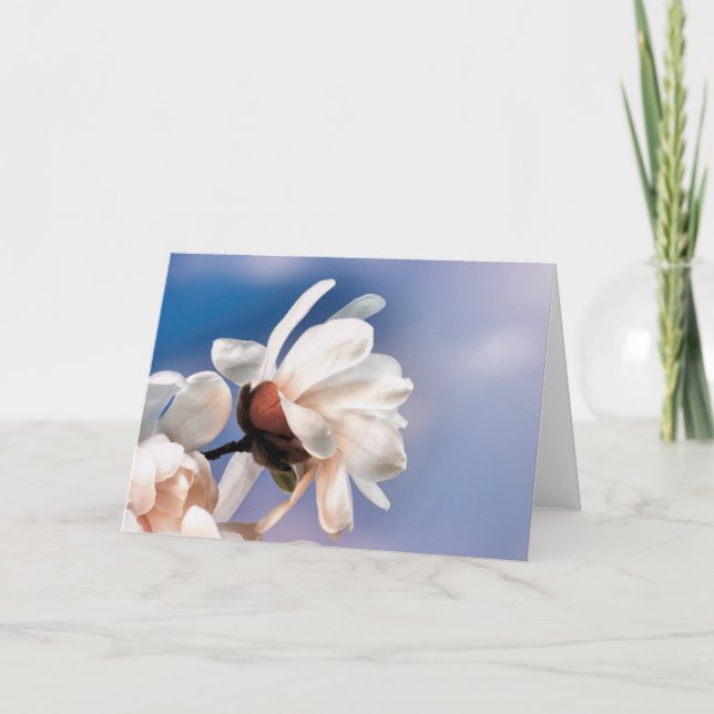Spring magnolia blossom card (Front)
