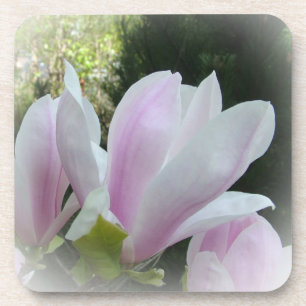 spring magnolia flowers coaster