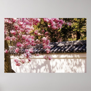 Spring - Magnolia Poster