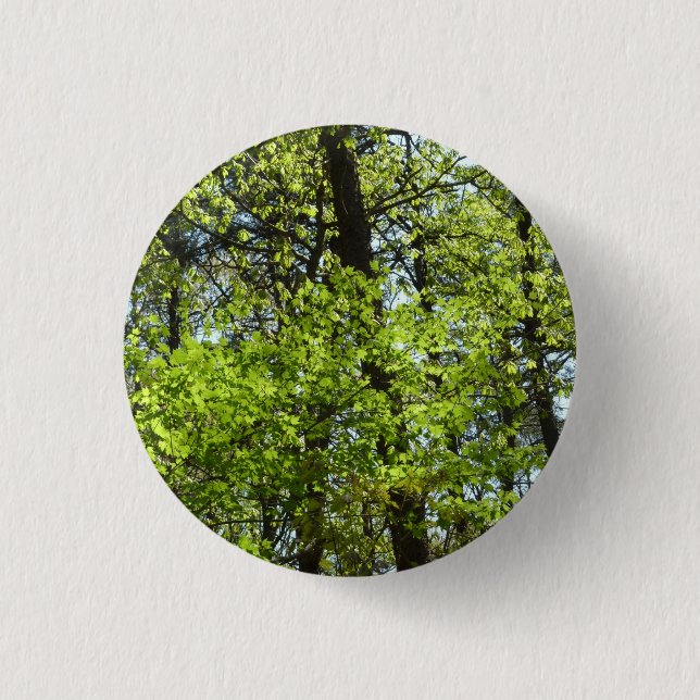 Spring Maple Leaves Nature 3 Cm Round Badge (Front)